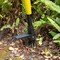 Gardenised 4 Claw Stand-Up Weed Puller Tool with Long Handle Durable Steel Head for Effortless Grass Removal Ergonomic Design Eliminates Bending Kneeling and Tugging Perfect for Easy Gardening